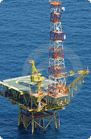 petroleum industry