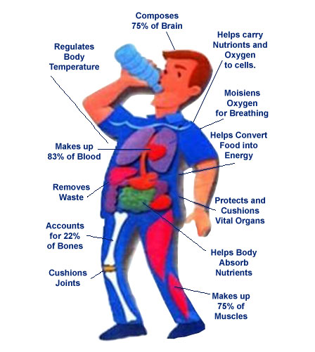 Why we must drink water